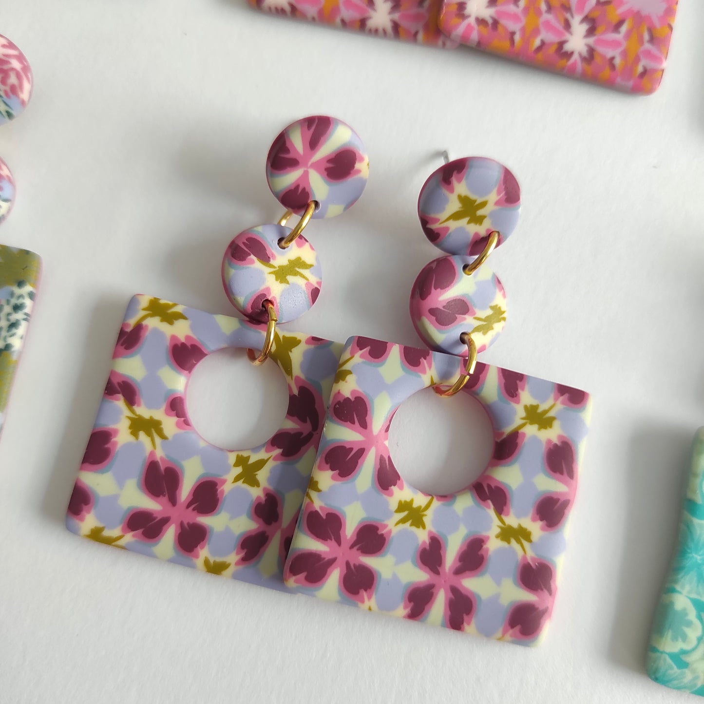 Clotilde multicolor